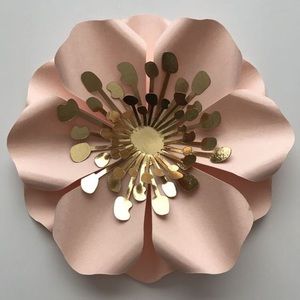 Meet your Posher, Clemencia